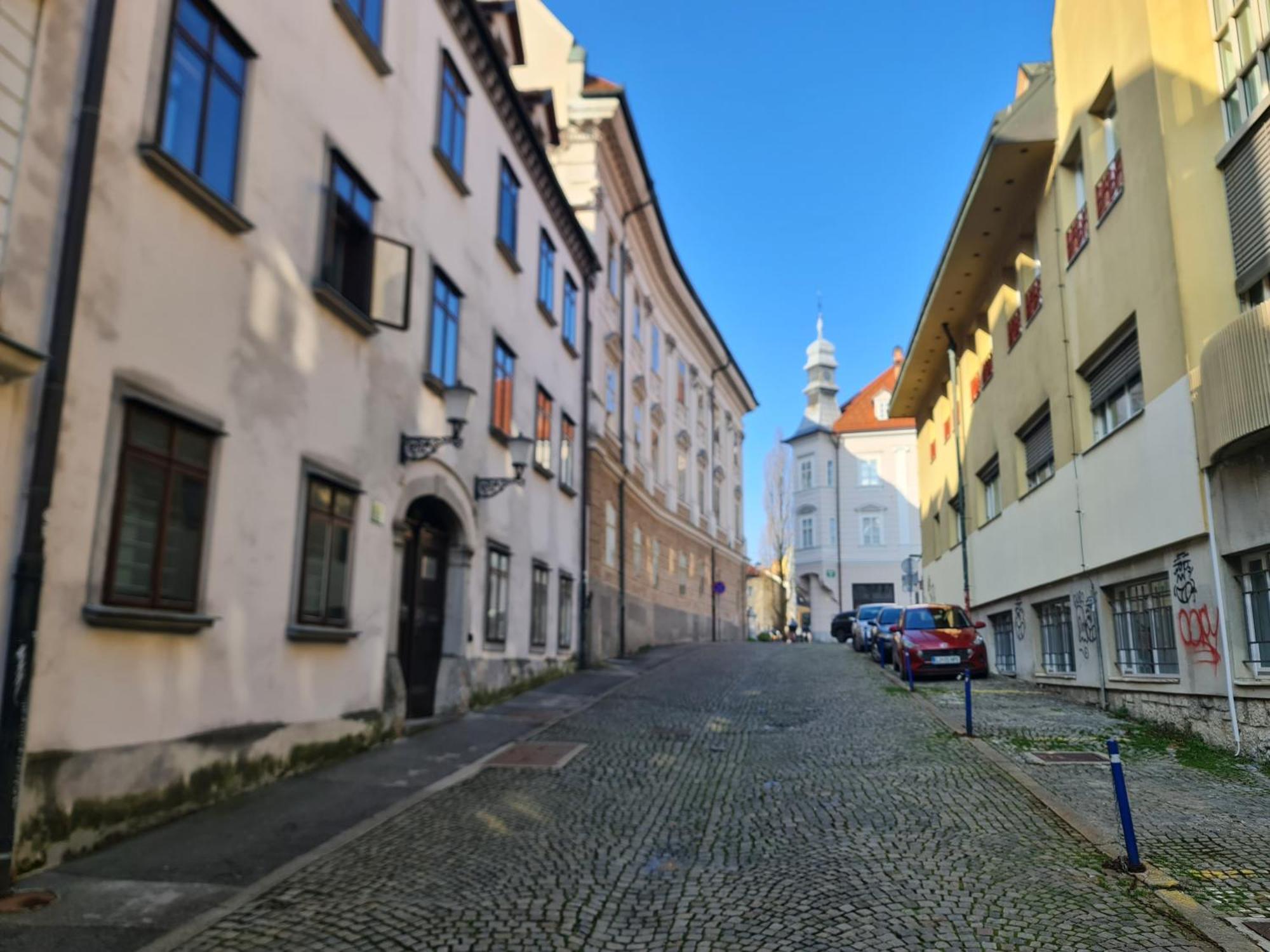 Mart'S Choice Apartment Ljubljana Dış mekan fotoğraf